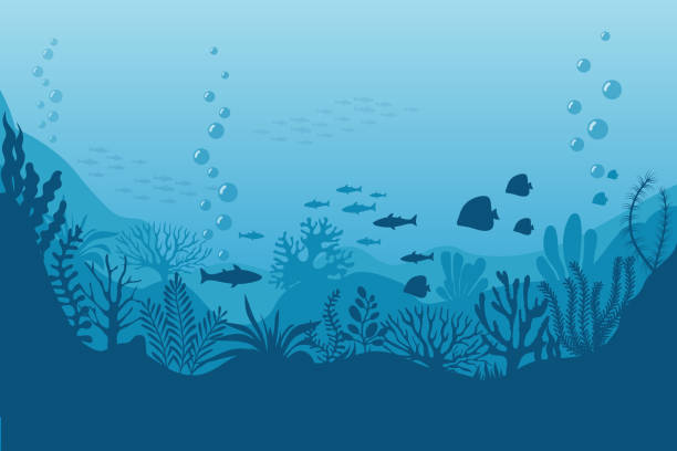 meer unterwasser-hintergrund. meeresboden mit algen. vektor-meeresszene - meer stock-grafiken, -clipart, -cartoons und -symbole