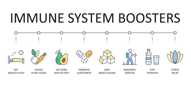 wektor banner wzmacniacze układu odpornościowego. kolorowe ikony edytowalne obrys. dostać wystarczająco dużo snu całej żywności roślinnej, jeść więcej zdrowych tłuszczów suplement probiotyczny. ogranicz dodane cukry umiarkowane ćwiczenia, uk - immune defence obrazy stock illustrations