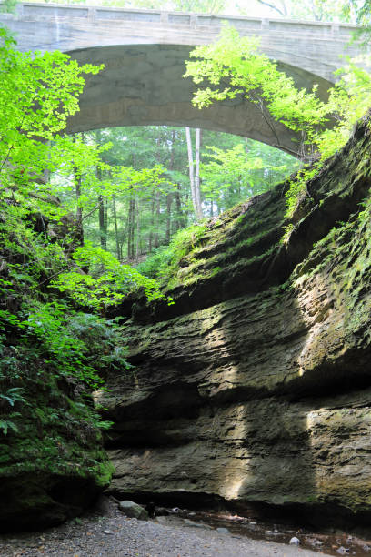 istock Bridge over Turkey Run Canyon-Turkey Run State Park Indiana 1261560029