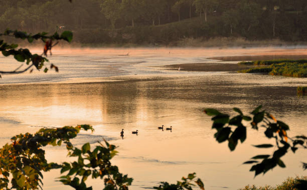 Ducks at Sunrise-Maumee River-Watertown Ohio