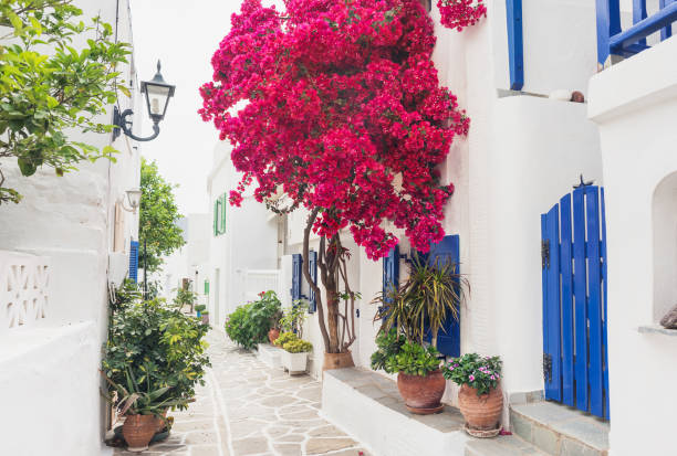 istock Marpissa village, Paros island, Greece 1261565287
