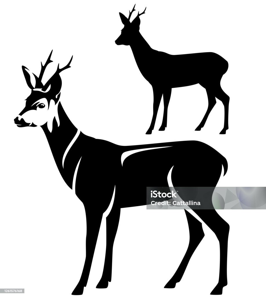Hươu Nai Đen Và Trắng Vector Hình Bóng Và Phác Thảo Hình minh họa ...