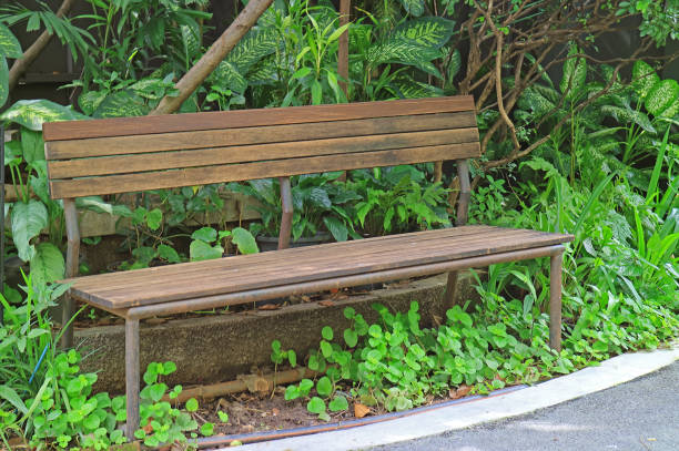 Empty old wooden bench in the garden