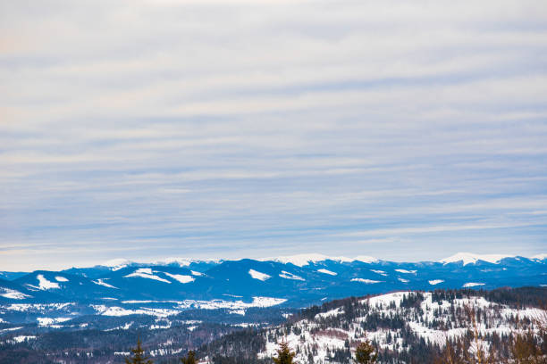 Beautiful panorama of mountain slopes with trails overlooking the hills and coniferous forests overcast and frosty on a winter evening. Winter tourism and leisure concept. Advertising space
