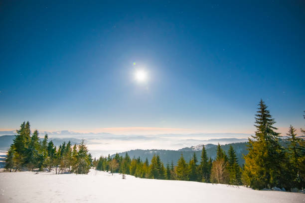 istock Spruce winter forest overlooking the mountains 1261581983