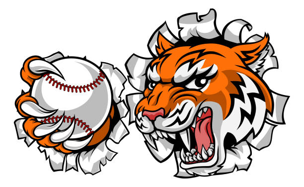 illustrazioni stock, clip art, cartoni animati e icone di tendenza di tiger tennis player animal sports mascotte - mascot anger baseball furious