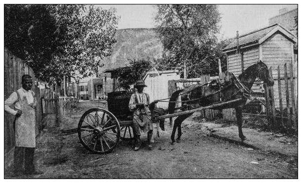 Antique black and white photo: Louisiana scene Antique black and white photo: Louisiana scene horse cart photos stock illustrations