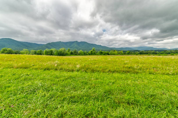 istock Smoky Mountains Field For Background 1261598983