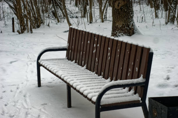 istock Park bench in the snow 1261599053