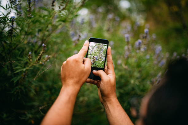 istock Taking Nature Photos With Smart Phone 1261599585