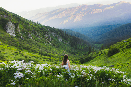 Young woman in white dress feeling freedom and happiness walking at the beautiful meadow with white wild flowers meeting the bright colorful sunrise with view of the mountain peaks and pine forest