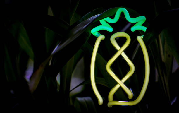 istock Neon Cactus Light Photography Closeup With Grass Plant Background 1261606374