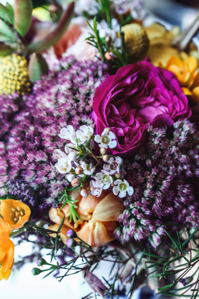 braut mit blumen - cut flowers white small still life stock-fotos und bilder