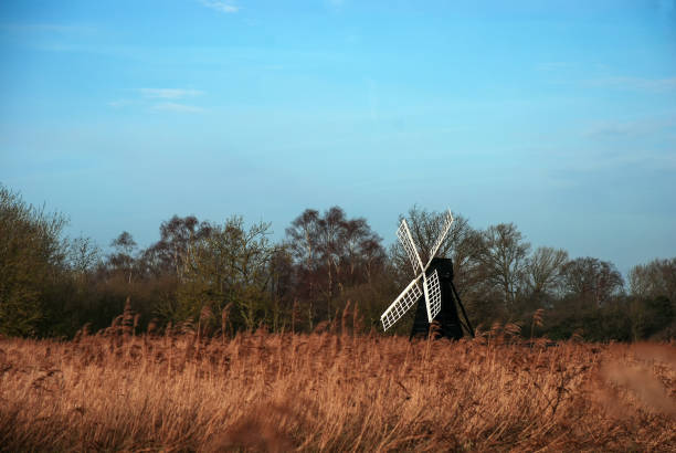 Wicken Fen in Cambridgeshire, UK