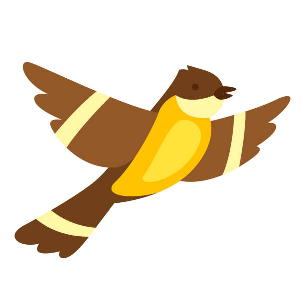 illustrations, cliparts, dessins animés et icônes de illustration de sein volant. - birdsong bird one animal flying