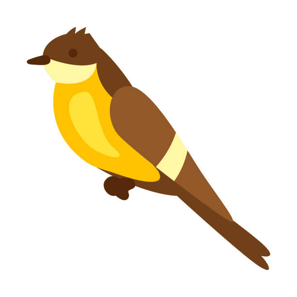illustrations, cliparts, dessins animés et icônes de illustration du sein assis. - birdsong bird one animal flying