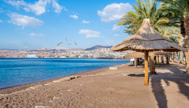 istock Morning on central public beach in Eilat 1261637478
