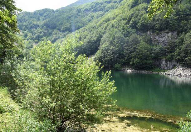 istock Lago Santo, Modenese, Italy 1261639110