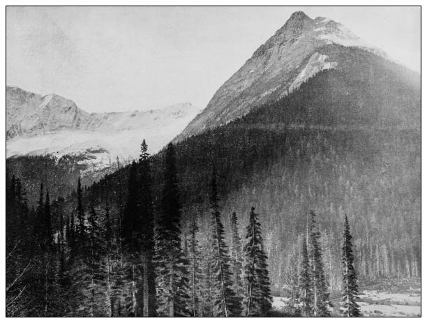 istock Antique black and white photo: Ross Peak and glacier, British Columbia 1261649940