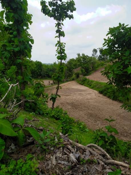 istock Forest hills and mountains from Vadodara Gujarat India 1261650294