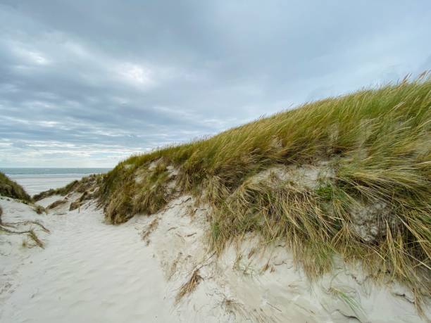 istock Dunes of Sylt , Germany 1261651670