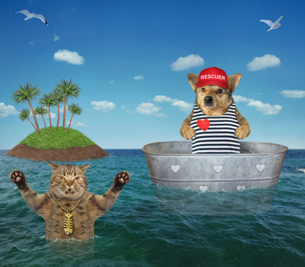 istock Dog lifeguard helps drowning cat 1261655981