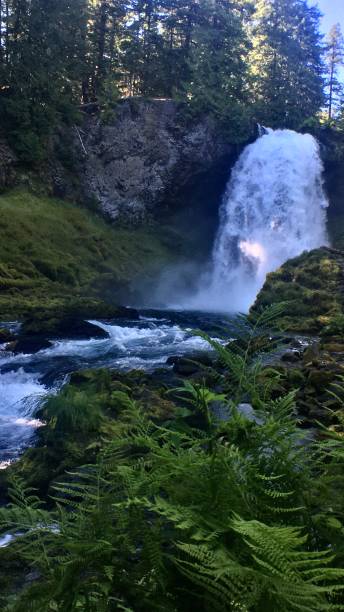 istock sahalie falls through the trees 1261658381