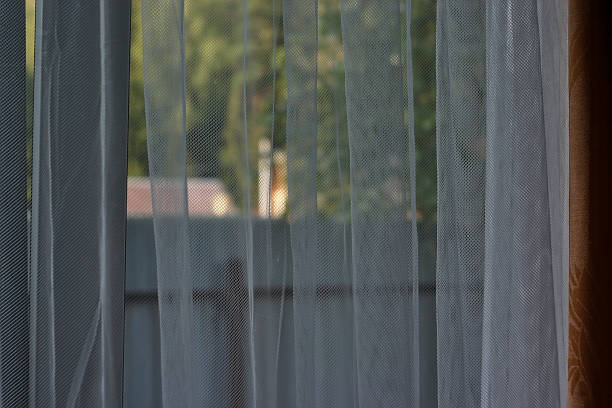 istock view through a transparent tulle curtain 1261661117