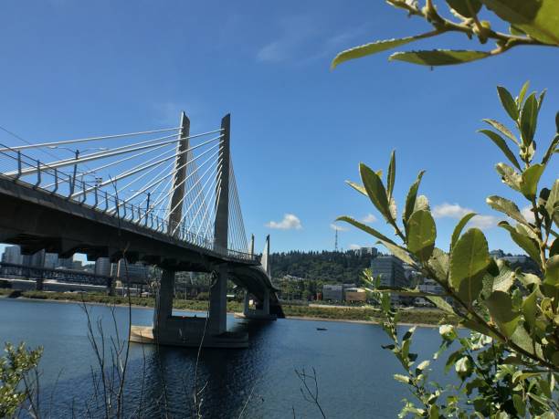 istock tilikum crossing: bridge of the people 1261680685