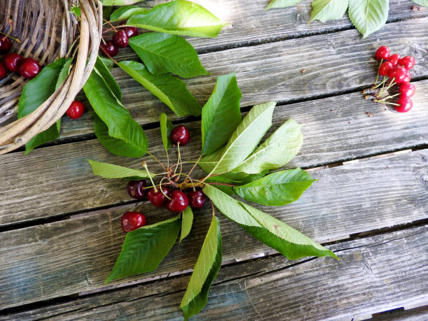 istock red cherries on wooden table 1261681647