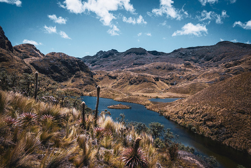 Scenic view of mountains and lakes, Cajas National park, Ecuador.