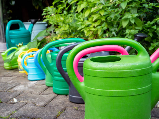 istock colorful watering cans at the garden 1261690136