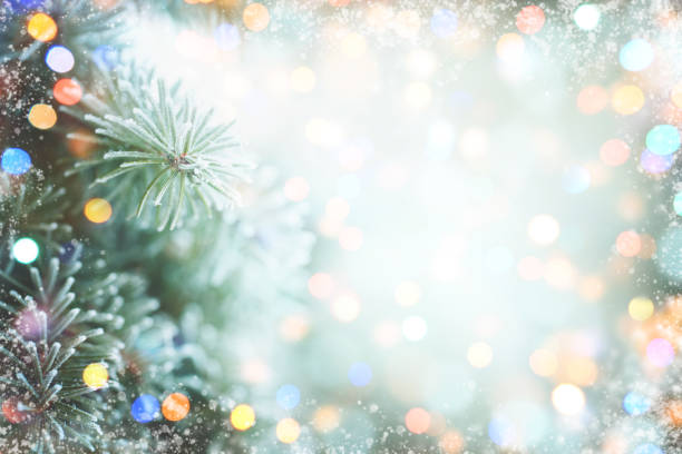 istock Christmas fir tree branches with frost 1261692268