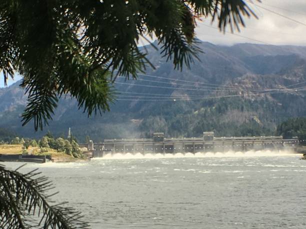 bonneville lock and dam with steam - oregon forest hydroelectric power columbia river imagens e fotografias de stock