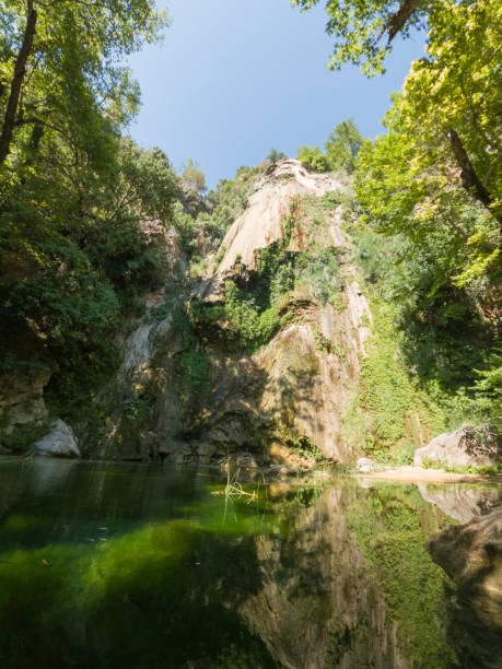 istock beautiful forest in the nature 1261718168