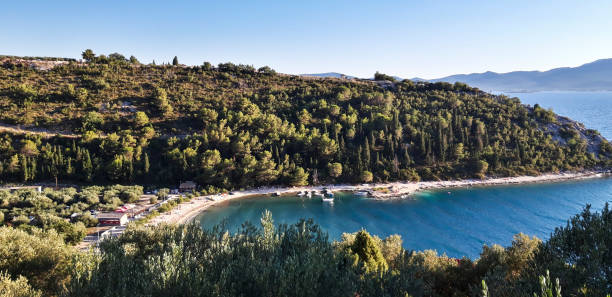 istock Olive Tree Seascape Wallpaper Background 1261720324