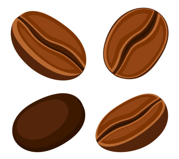 흰색 배경에 커피 콩 세트 - raw coffee bean stock illustrations