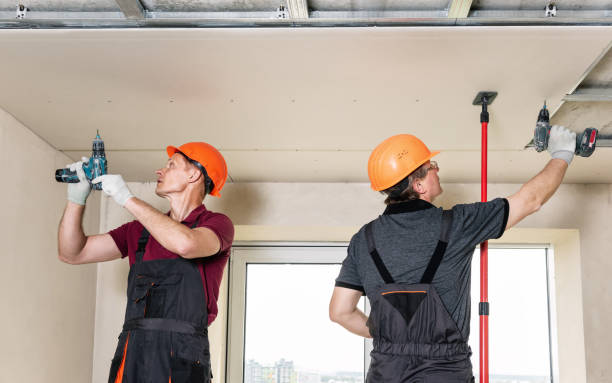 istock Workers are using screws and a screwdriver to attach plasterboard to the ceiling. 1261760646