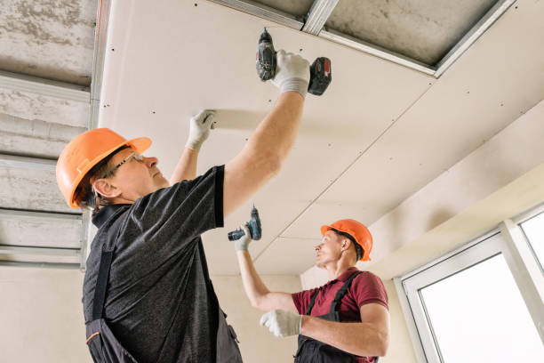 i lavoratori utilizzano viti e un cacciavite per fissare il cartongesso al soffitto. - cartongesso foto e immagini stock