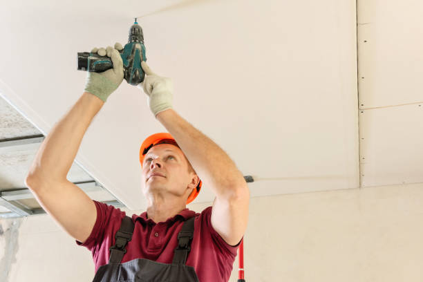 istock Workers are using screws and a screwdriver to attach plasterboard to the ceiling. 1261760666