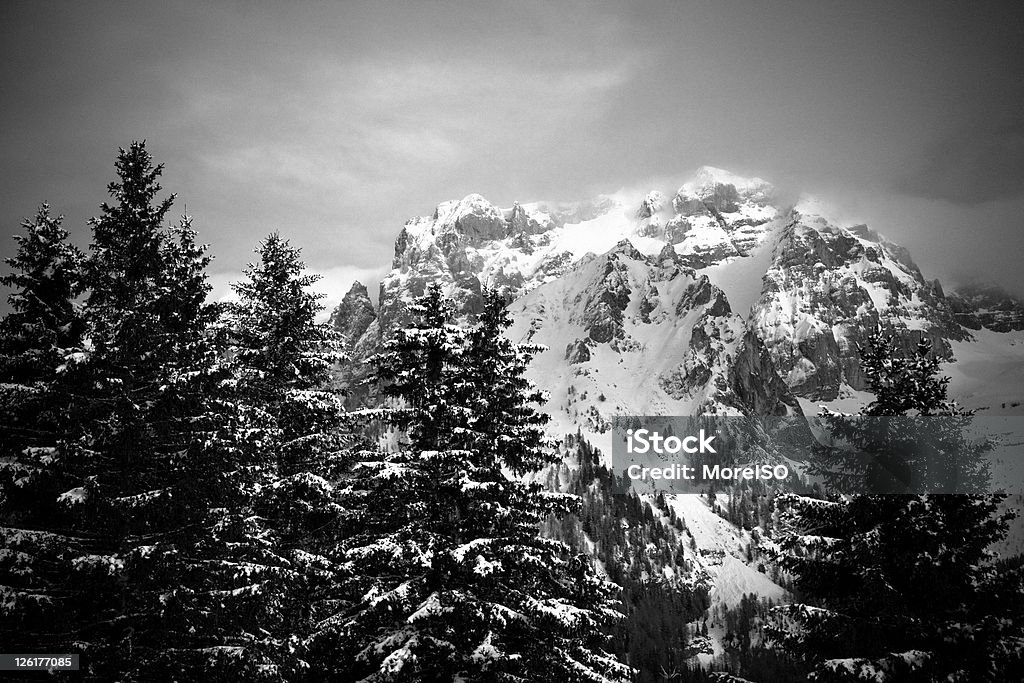 Alpes dolomíticos de adamello Brenta, italiana Alpes, Madonna di Campiglio - Foto de stock de Alpes Dolomíticos libre de derechos