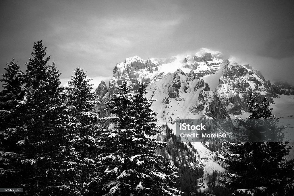 Dolomites de la Brenta, Alpes italiennes, Madonna di Campiglio - Photo de Alpes européennes libre de droits
