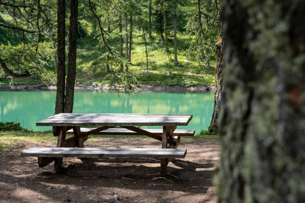 istock morning on the lake in deep forest 1261772106