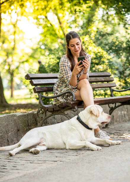 istock Young beautiful woman sitting on a park bench, typing messages on a smart phone while a labrador dog lies next to a bench 1261776941