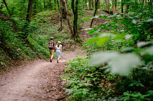 Guy and girl walk together in wood along the trail, holding hands. Back view. Happy couple holding hands and walking forest path. Hikers walk in wooded area with a backpack in summer.