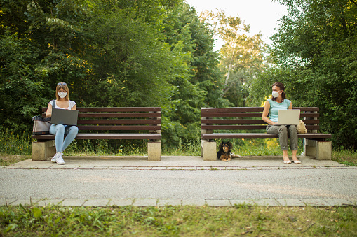 Two women maintain a social distance by sitting on separate benches while using laptop at a safe distance and wearing protective face masks.