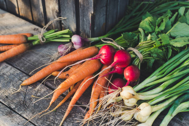 istock Fresh vegetables from the garden on a wooden background 1261797921