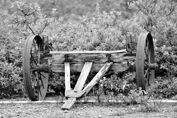 Buckboard wagon with bright colors mixed with weathered wood