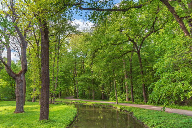 istock A stream in a quiet park on a summer day with a path leading into the distance under the green canopy of trees. 1261808770