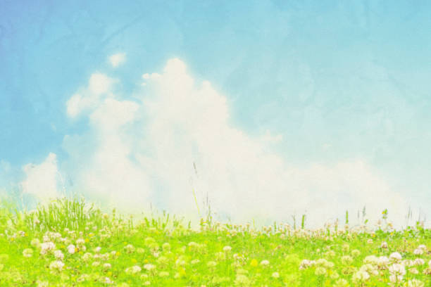 Defocused Landscape on a Summer Day with Clouds and Clover Field. Very soft focus; noise added; textured effect. Pastel colors. Copy Space.
